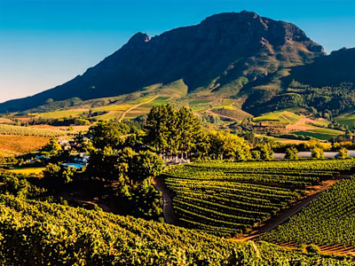 Cape Winelands
